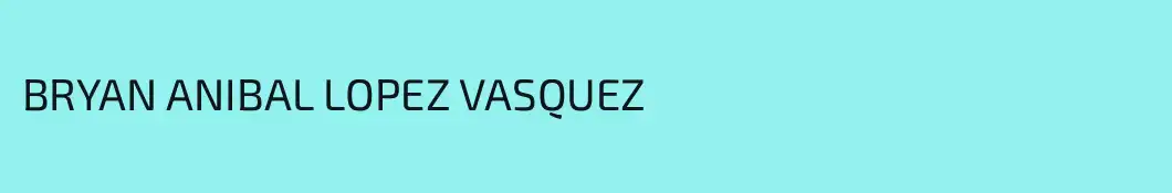 BRYAN ANIBAL LOPEZ VASQUEZ